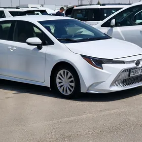 Toyota Corolla 2020