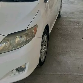 Toyota Corolla 2009