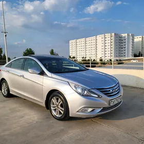 Hyundai Sonata 2010