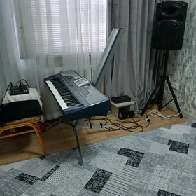 korg pa 800