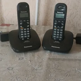 Panasonic