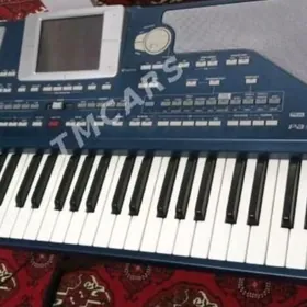 KORG PA 800