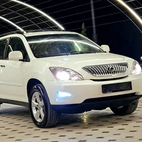 Lexus RX 330 2004