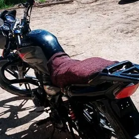 Fekon FK150-8G 2024