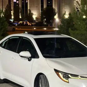 Toyota Corolla 2020