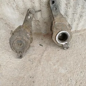 maz bacok trişotga