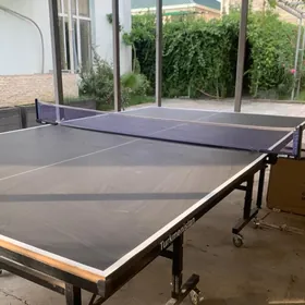Tenis stol
