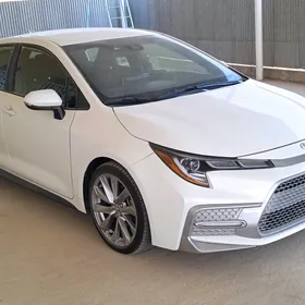 Toyota Corolla 2020
