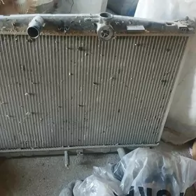 wintiator 24 wlt