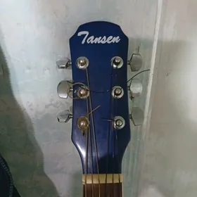 Jansen Gitara