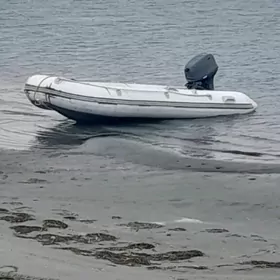 yamaha 15