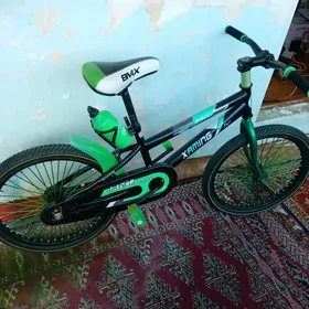 tigir