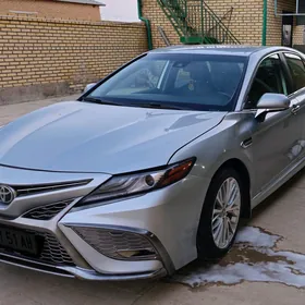 Toyota Camry 2020