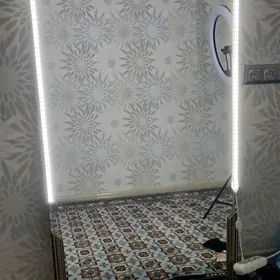 Salon  aynasy