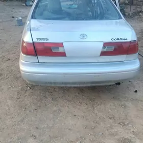 toyota carona