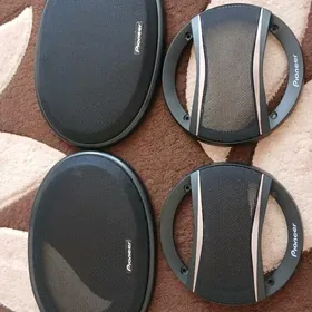 piooner setka
