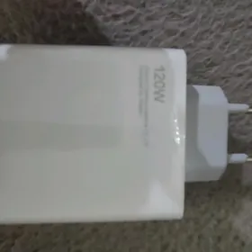120w zaryatnik