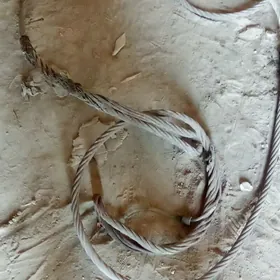 zapcas