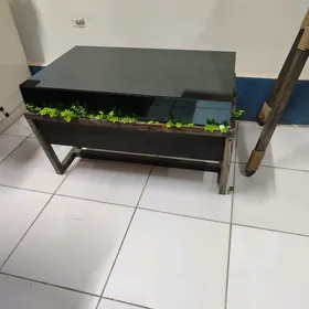 Çayny stol agaçdan