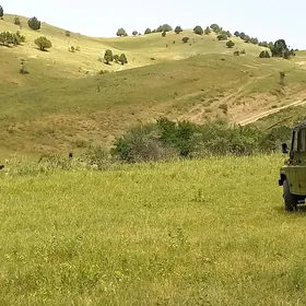 UAZ 469 2005