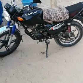 Fekon FK150-8G 2020