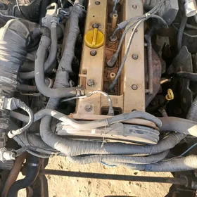 ecotek 2 Lik motor