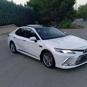 Toyota Camry 2019