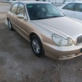 Hyundai Santa Fe 2002