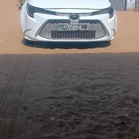 Toyota Corolla 2020