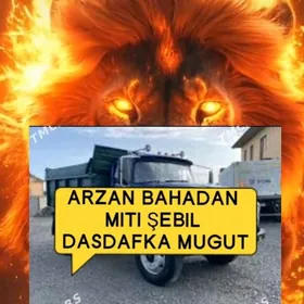 miti myty keramsit sement şebi