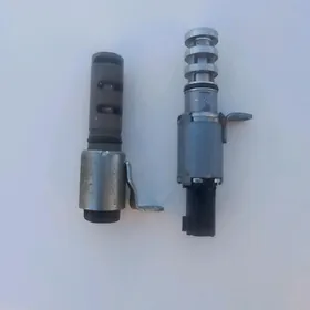 Datcik