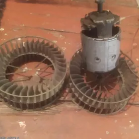 bmw pec wiltinatory