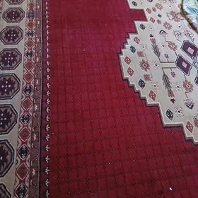 халы
