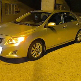 Toyota Corolla 2010