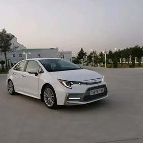 Toyota Corolla 2020