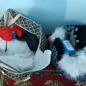 miska satlyk