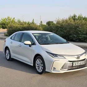 Toyota Corolla 2024