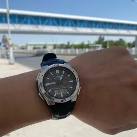Casio arginal