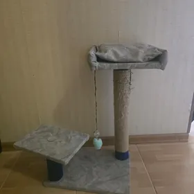 Когтеточка