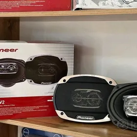 Pioneer kalonka
