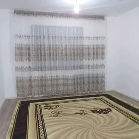 Arenda jay mir 8