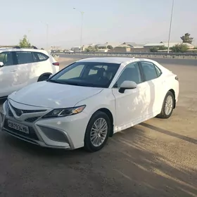 Toyota Camry 2020