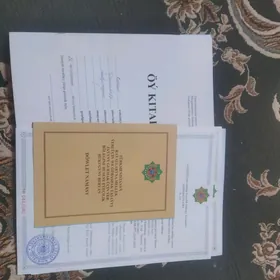 Guwlymayak satlyk jay