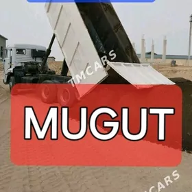 SEMENT MİTİ SEBİL CAGE GUM