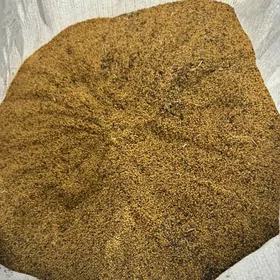 Yorunja tohum