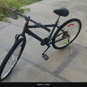 Welspet 26lyk
