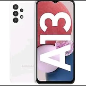 A 13