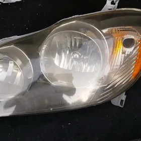 corollo 06 s. fara  cepi