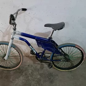 Tigir 20