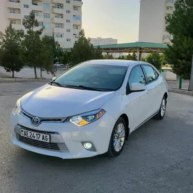 Toyota Corolla 2014